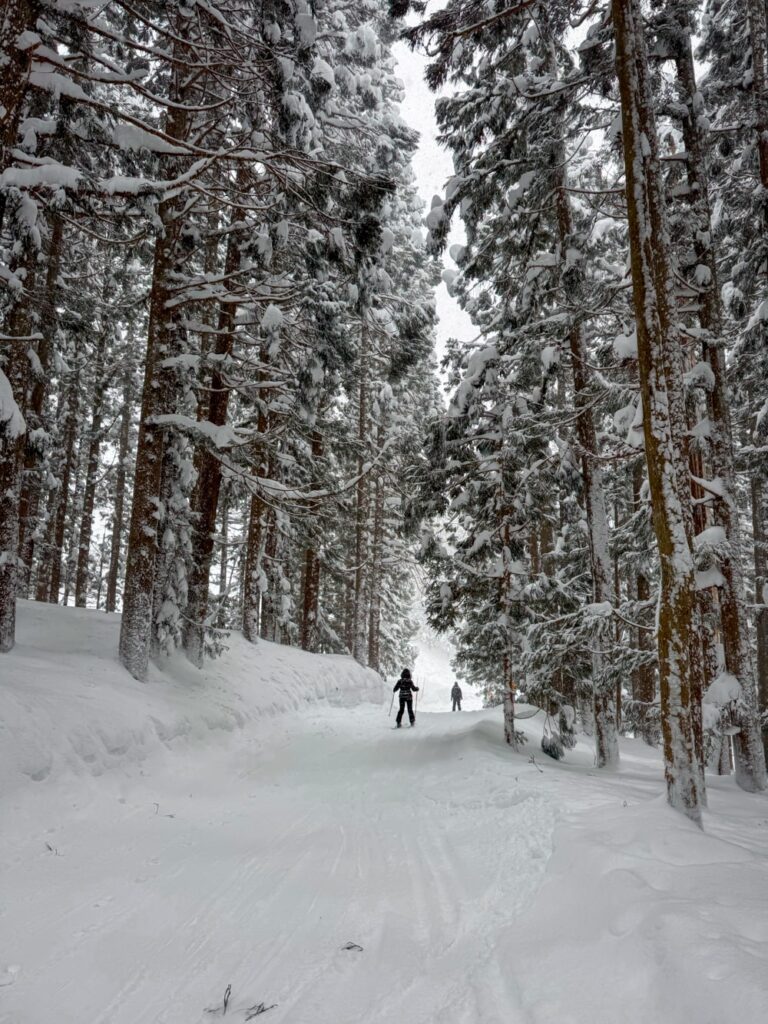 Nozawa Onsen Ski Guide: Trails, Passes, Rentals & Après-Ski