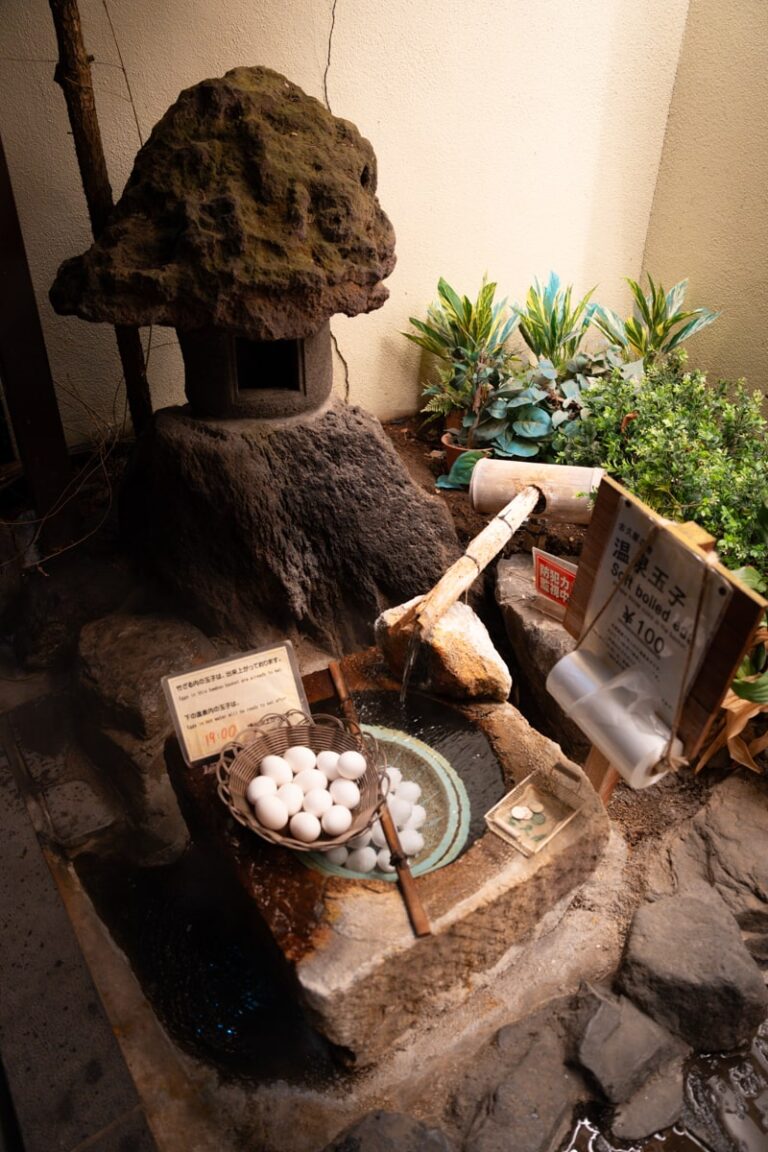 The Best Hotels & Ryokans to Stay Near Snow Monkey Park in Nagano